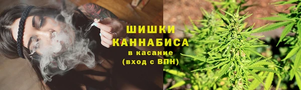 стаф Богородицк
