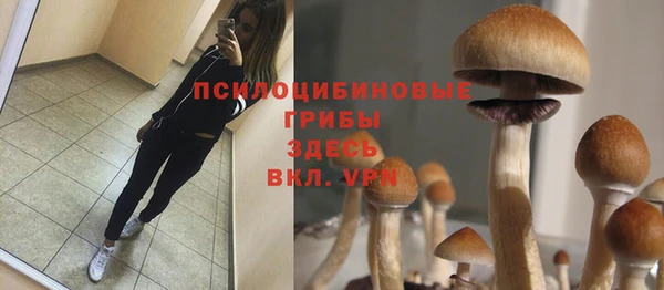 a pvp Беломорск